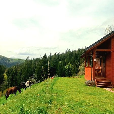 Tiny House Villa Ziri Dış mekan fotoğraf