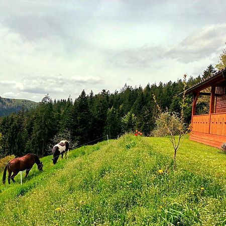 Tiny House Villa Ziri Dış mekan fotoğraf