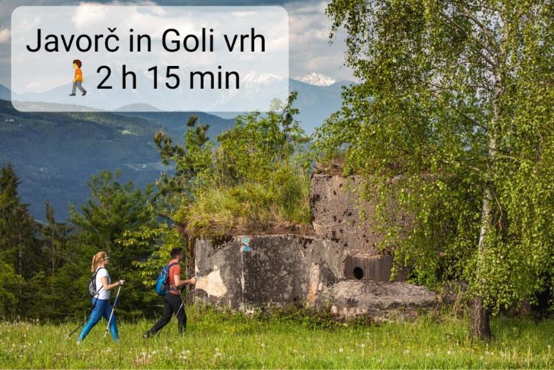 Tiny House Villa Ziri Dış mekan fotoğraf