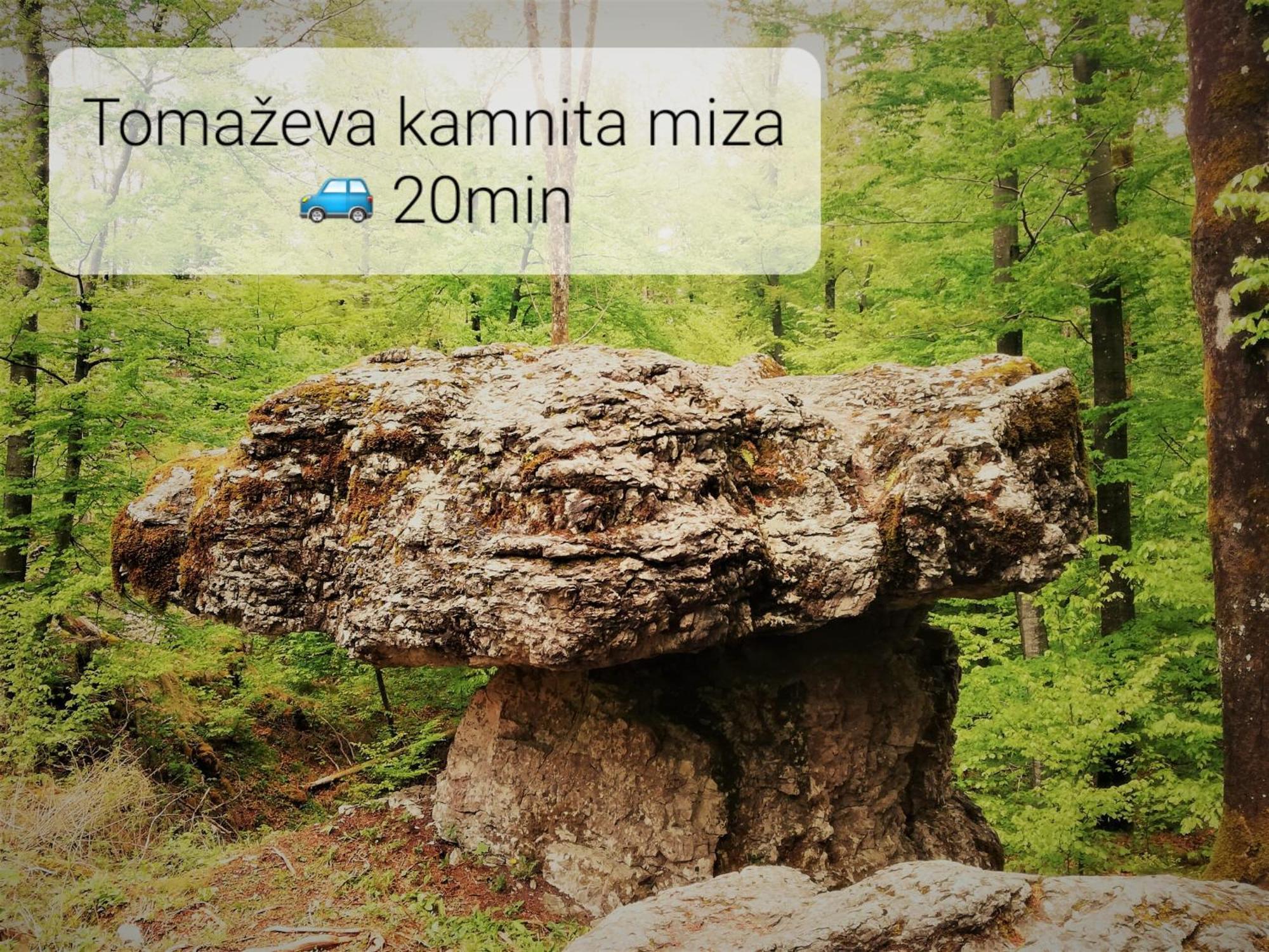 Tiny House Villa Ziri Dış mekan fotoğraf