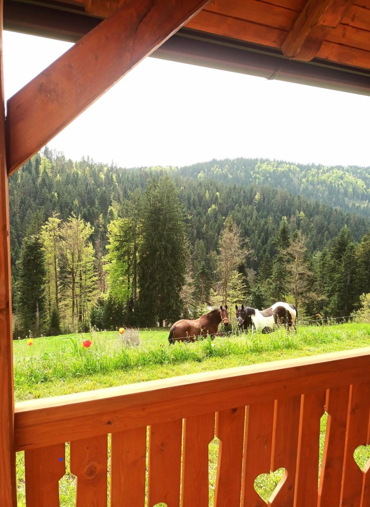 Tiny House Villa Ziri Dış mekan fotoğraf